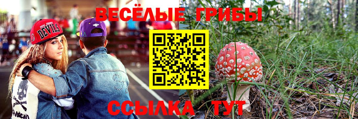 Дербент  Галлюциногенные грибы Psilocybe  Вход с VPN  Псилоцибиновые грибы Magic Shrooms 