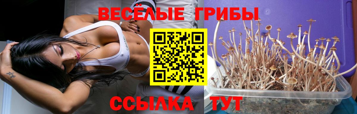 Меф кристаллы  Alpha PVP СОЛЬ кристаллы  Бошки Шишки  NBOMe  Экстази  КОКАИН  ГАШ  Дербент  Вход с VPN 